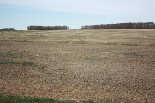 Tract 1 - REAL ESTATE AUCTION, 60 +/- Acres offered in 3 Tracts Swine Operation